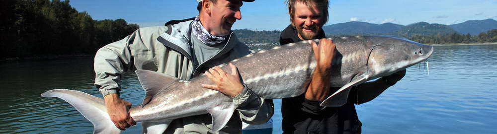 Kanada - druhy ryb - zahl-43.jpg