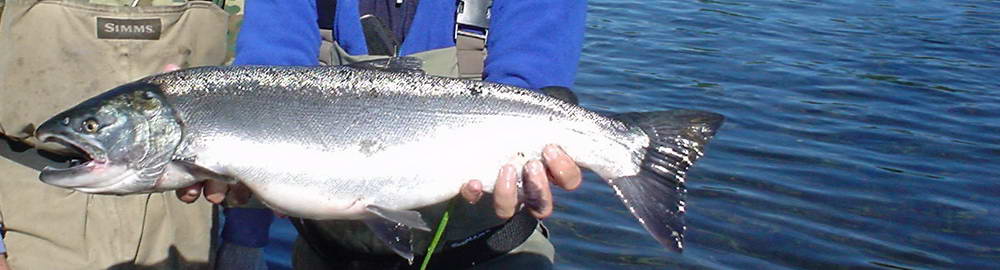 Rybolov v Kanadě - zahl-45.jpg