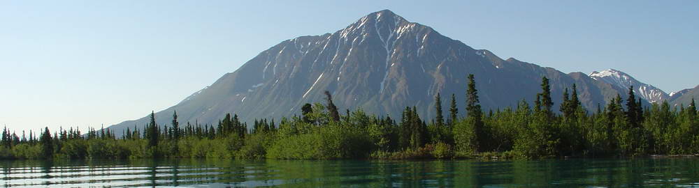 Kanada - druhy ryb - zahl-69.jpg