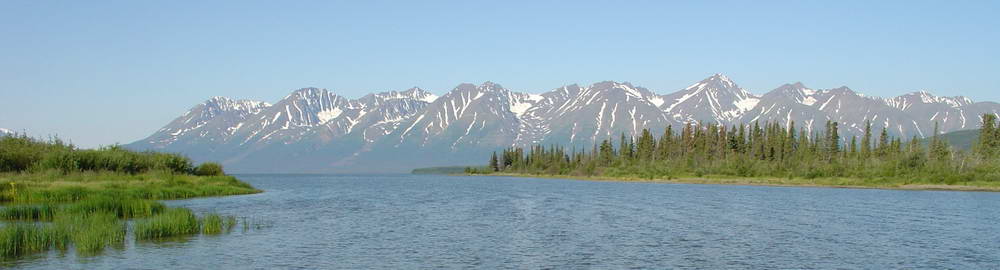 Kanada - druhy ryb - zahl-70.jpg