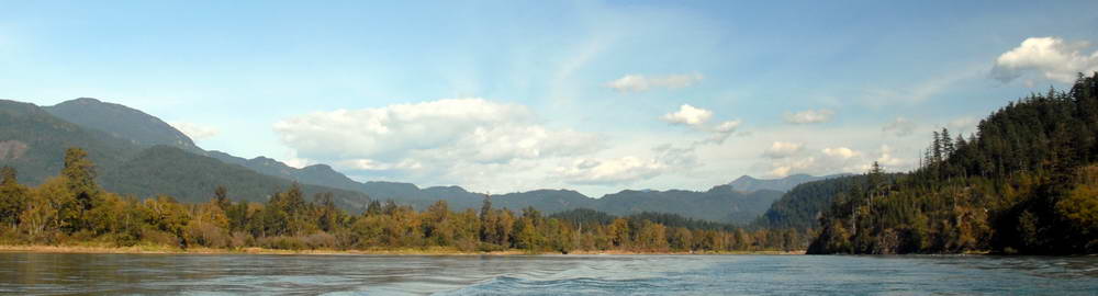 Kanada - druhy ryb - zahl-87.jpg