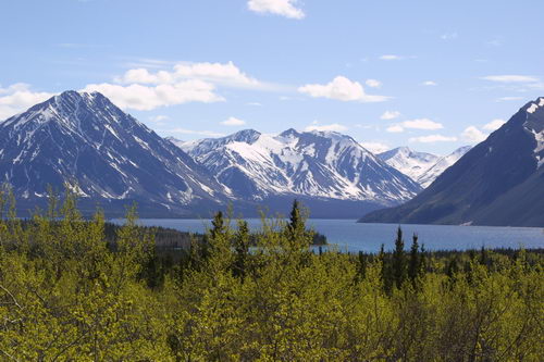 Kanada - krajina v provincii Yukon